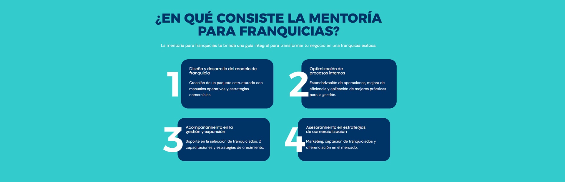 Franchising & Mentoring